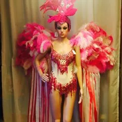 Casque Et Dos De Plumes