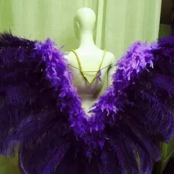 Dos De Plumes En Autruche