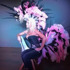 Ensemble, Casque Et Armature De Hanches Plumes