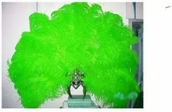 Casque En Autruche Et Strass