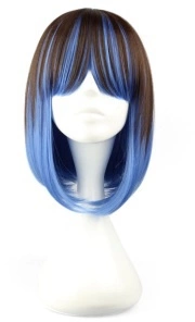 Perruque Carré Bicolore