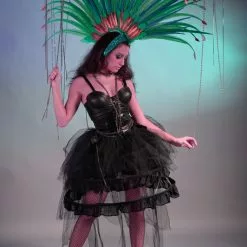 Casque En Plumes De Faisan