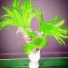 Casque En Plumes De Coq -Halloween 800x800 17