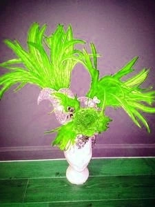 Casque En Plumes De Coq