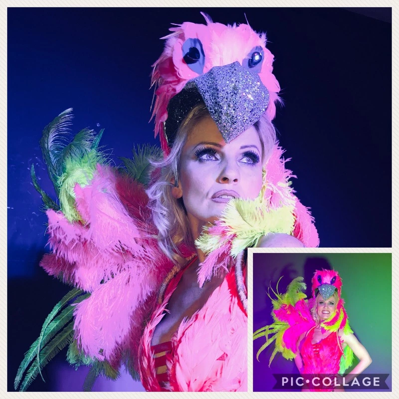 Casque Oiseau 3 Casque Oiseau