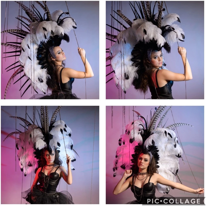 Casque Crête En Plumes D'autruche Et Faisans 3 Casque Crête En Plumes D'autruche Et Faisans