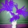 Casque En Plumes De Coq -Halloween 800x800 195