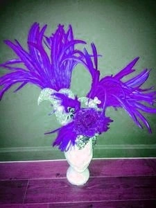 Casque En Plumes De Coq