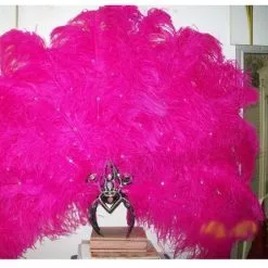 Casque Strass Et Autruche