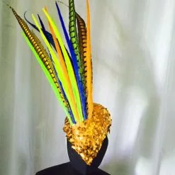 Casque En Plumes De Faisan