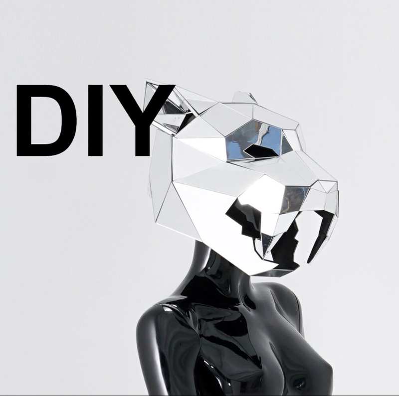 Masque Miroirs Jaguar 3 Masque Miroirs Jaguar