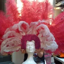 Casque En Autruche Draps