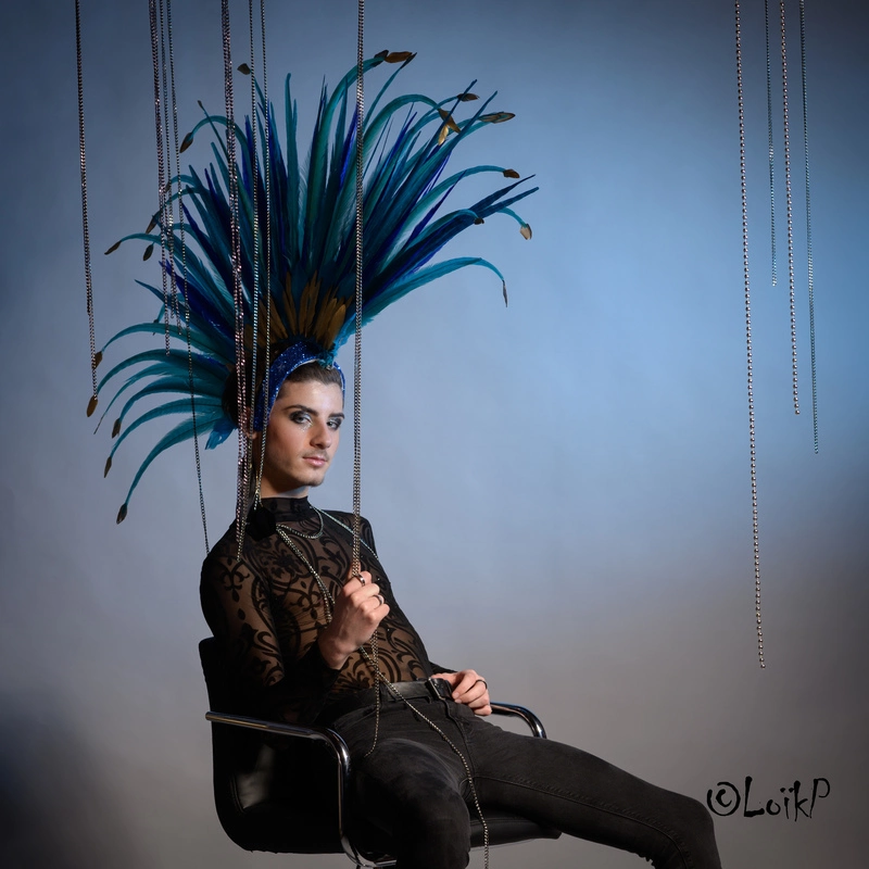 Casque En Plumes De Faisan 3 Casque En Plumes De Faisan