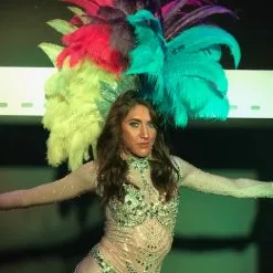 Casque Crête En Plumes D'autruche Taillées