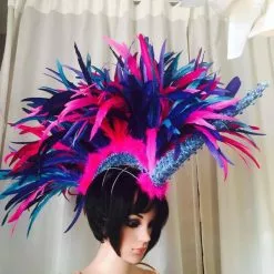 Casque En Plumes De Coq