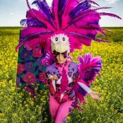 Casque Oiseau De Paradis