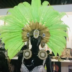 Casque En Plumes Autruche Taillées