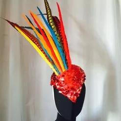 Casque En Plumes De Faisan