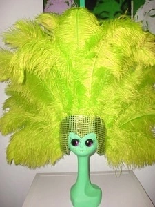 Casque Brésilien En Autruche