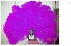 Casque En Autruche Et Strass