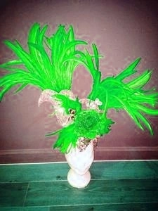 Casque En Plumes De Coq