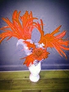 Casque En Plumes De Coq