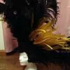 Casque Plumes Autruche Et Coq 2 Casque Plumes Autruche Et Coq -Halloween 800x800 337