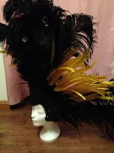 Casque Plumes Autruche Et Coq