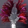 Casque En Plumes De Coq