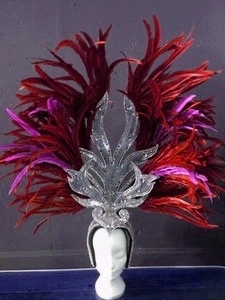 Casque En Plumes De Coq
