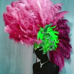 Crête En Plumes D'autruche