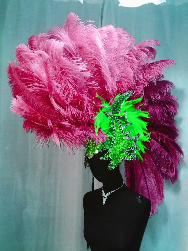 Crête En Plumes D'autruche 3 Crête En Plumes D'autruche