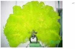 Casque En Autruche Et Strass