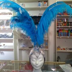 Crête En Plumes D'autruche