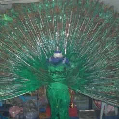 Costume Avec Dos En Plumes De Paon