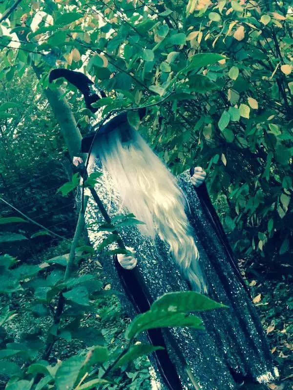 Costume De Merlin 3 Costume De Merlin