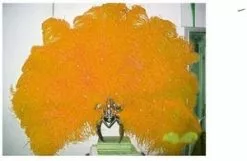 Casque En Autruche Et Strass