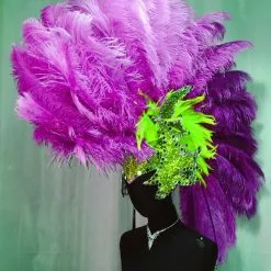 Crête En Plumes D'autruche