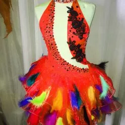 Robe Body En Plumes Et Pierre