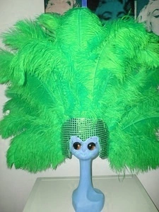 Casque Brésilien En Autruche