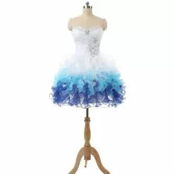 Petite Robe En Paillettes