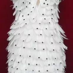 Robe En Plumes D'oie Et Paillettes