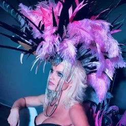 Casque Crête En Coq Et Faisan