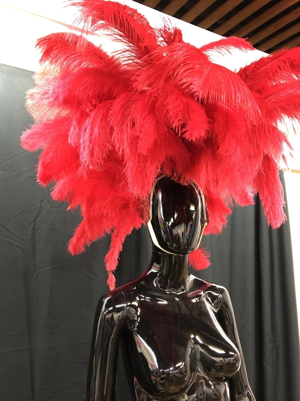 Crête En Plumes 3 Crête En Plumes