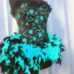 Corset Burlesque Plumes