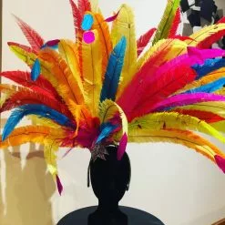 Casque En Plumes D'autruche Taillées