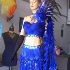 Costume Plumes Et Paillettes