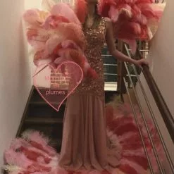 Robe Avec Plumes Sur Robe