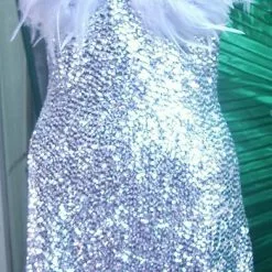 Robe Courte Paillettes Et Plumes