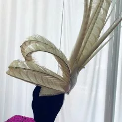 Casque Modiste En Faisans